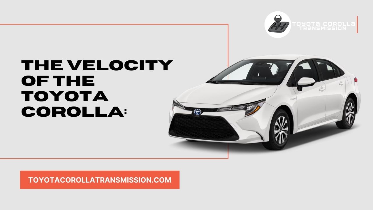 The Velocity of the Toyota Corolla